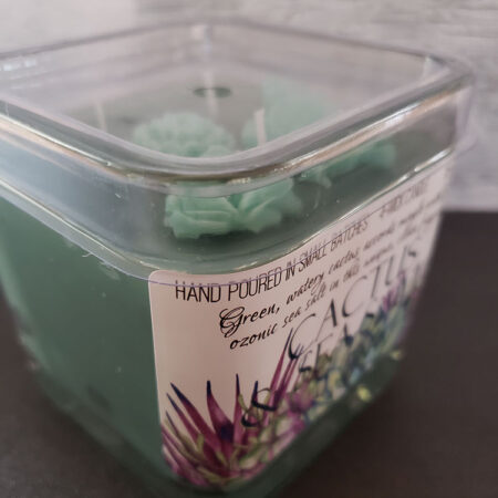 Cactus & Sea Salt Cube Candle